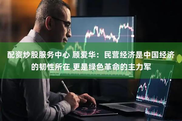 配资炒股服务中心 顾爱华：民营经济是中国经济的韧性所在 更是绿色革命的主力军