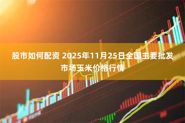 股市如何配资 2025年11月25日全国主要批发市场玉米价格行情